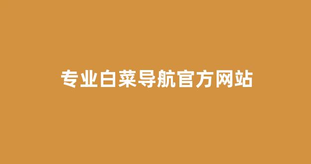 白菜信息技术