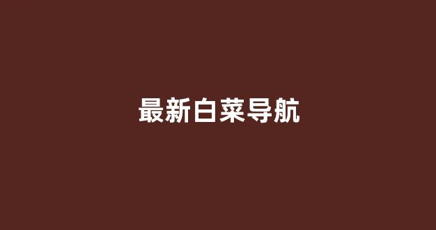 白菜公司下载